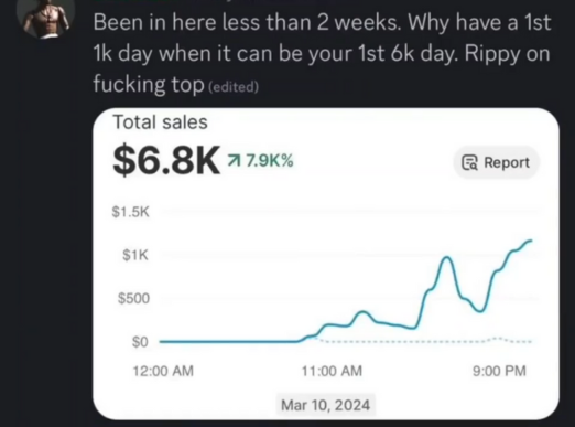 Shopify Dropshipping Store Sales Report - M Rostam Digital